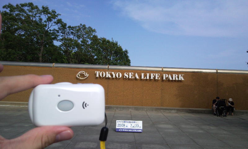 葛西臨海水族館 イルカ